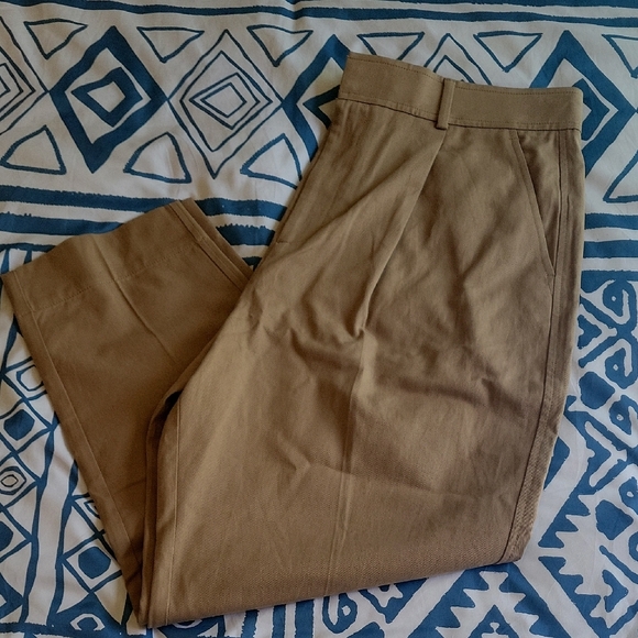 Everlane Tan Trousers with Straight-Leg Design - Picture 7 of 7